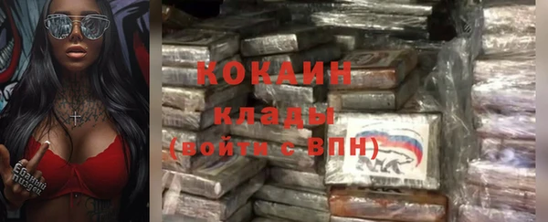 не бодяженный Алексин