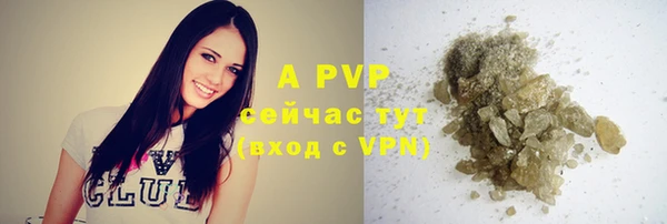 сатива Алзамай