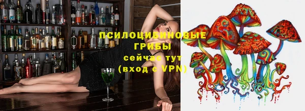не бодяженный Алексин