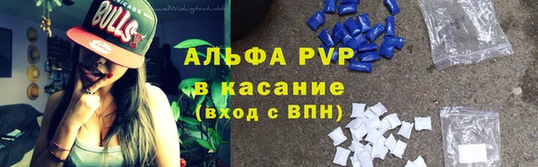 сатива Алзамай