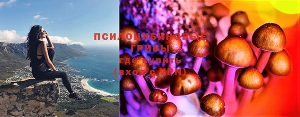 эйфоретик Алексеевка